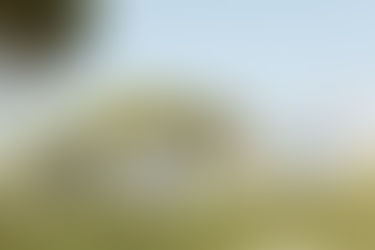 Chaskes Family | Florida Keys Photographer | Hawks Cay Photographer | Florida Keys Portraits