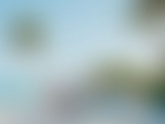 Family Photo Session in Marathon & Key Colony