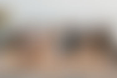 Marathon FL Family Photographer | Greenman Family