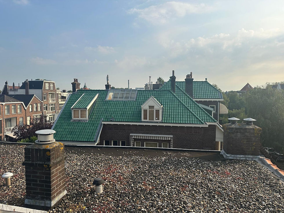 Project Prinses Julianalaan renovatie dakpannen 300m² Rotterdam