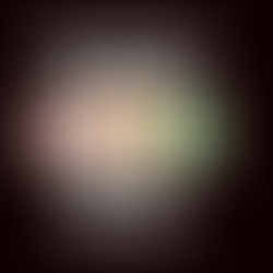 Amerikai étrendi fordulat vs. magyar Okostányér – valóban újra kell írni a táplálkozási ajánlásokat?