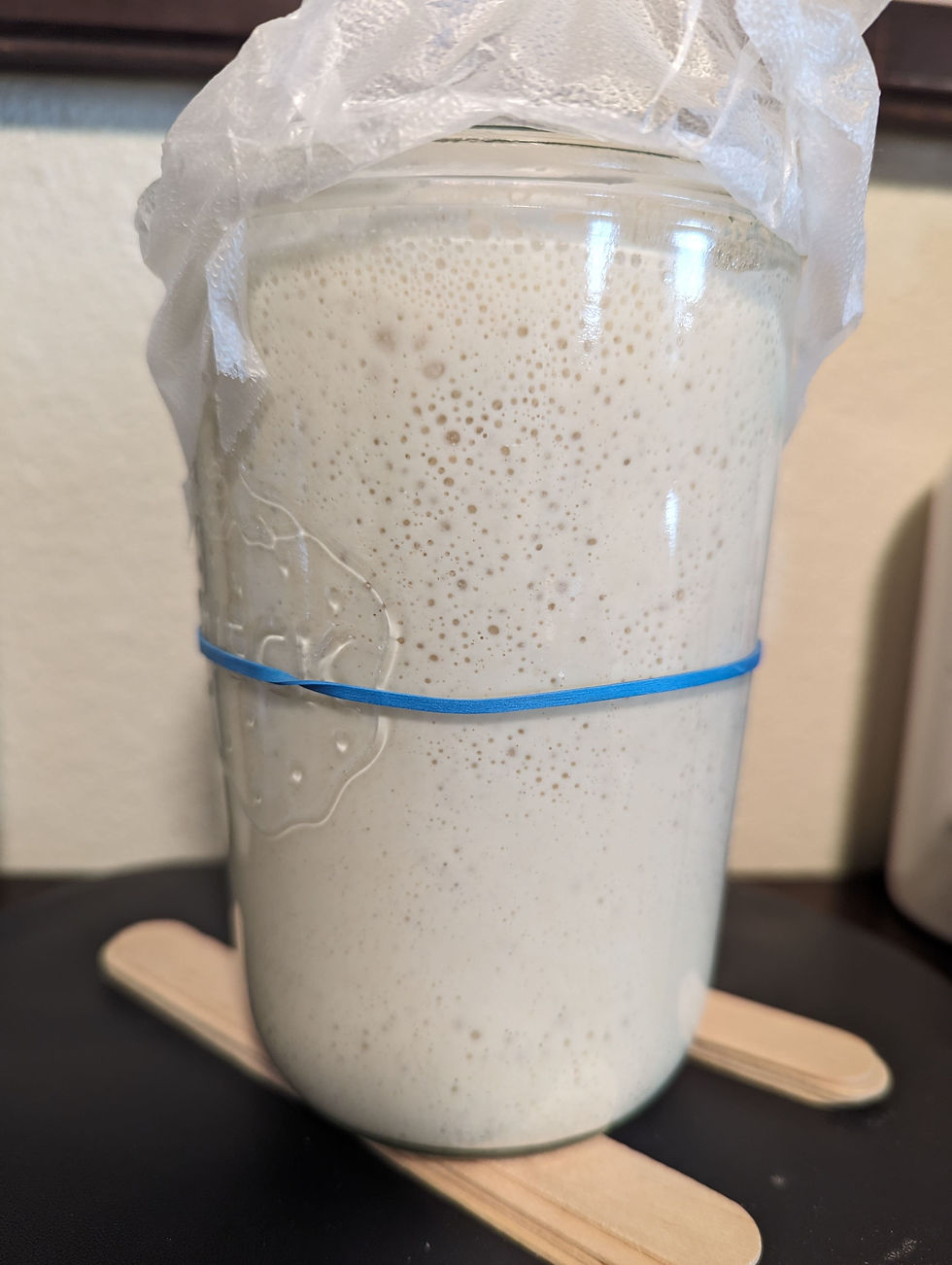 Bubbly sourdough starter