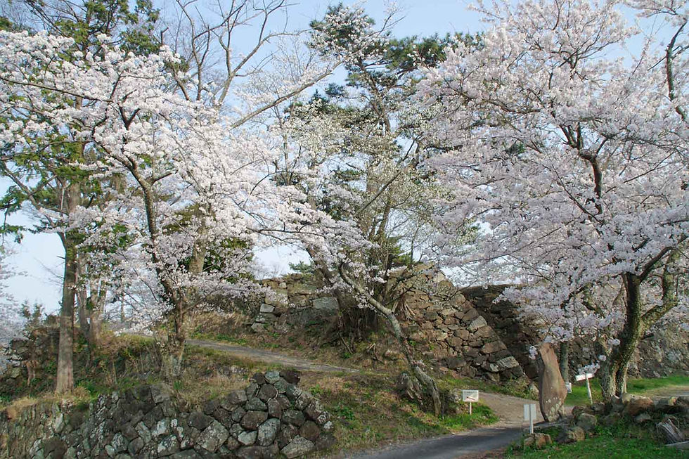 IMGP7732_edited.jpg
