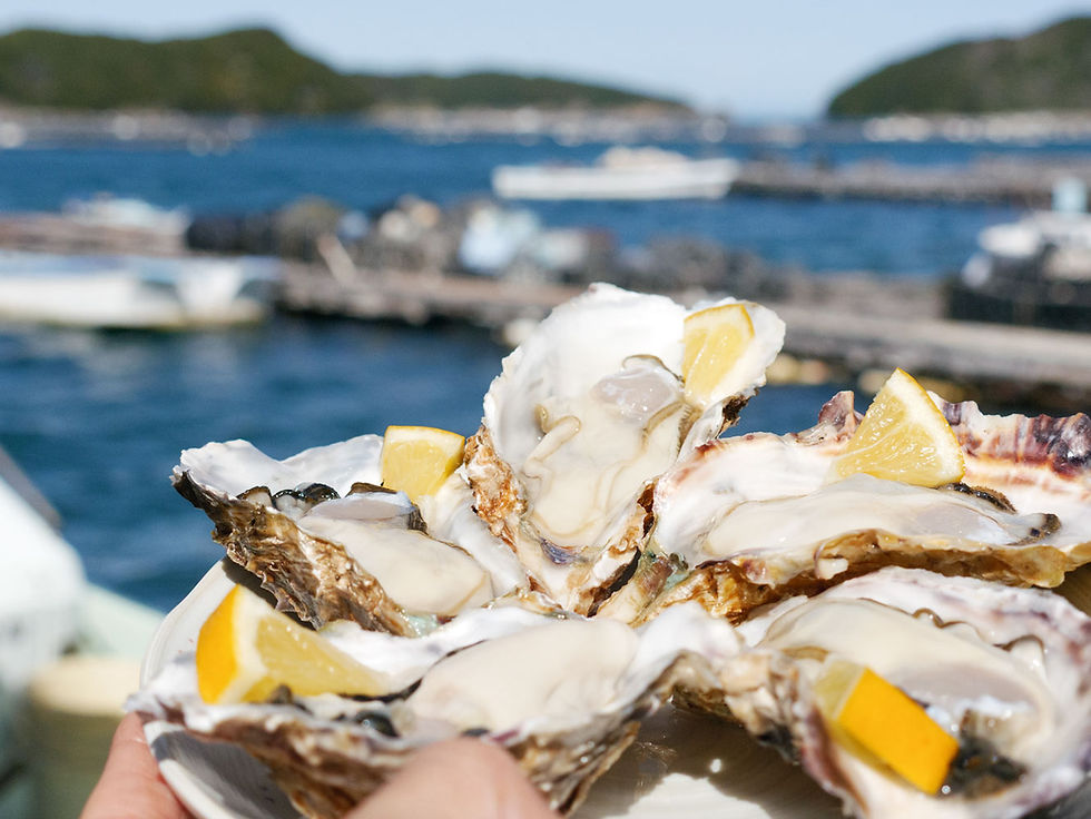 Fresh raw oysters brimming with the nutrients of the sea