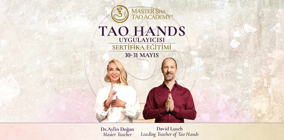 Tao-Hands-Training-wall_tr.jpg