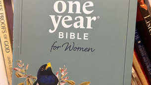 A Beautiful Daily Companion: My Experience with The One Year Bible for Women