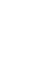 oiseaux(4).png