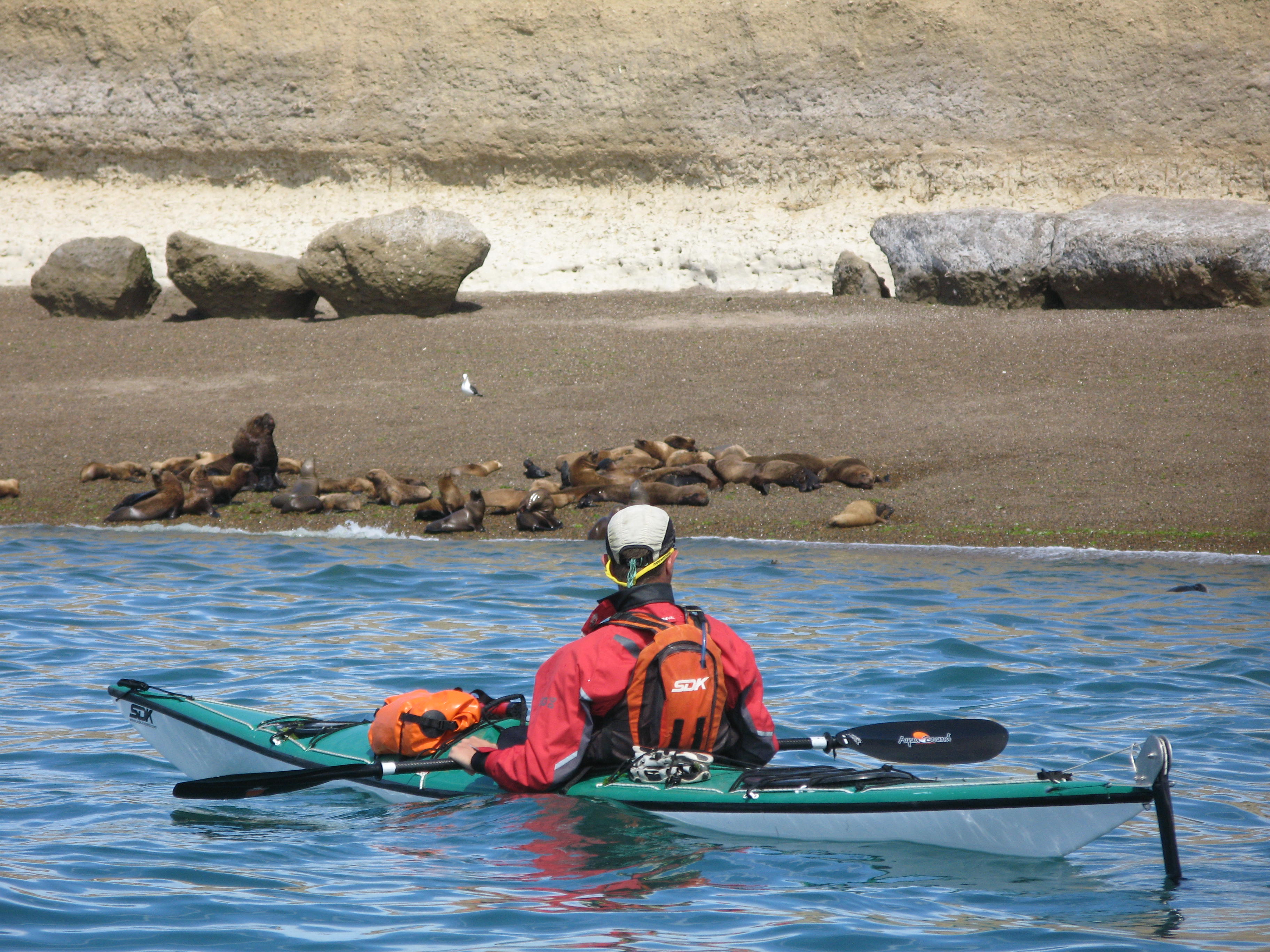 Sea Kayak Trips In Patagonia Puerto Piramides Patagonia Explorers