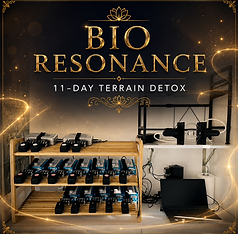 bio-resonance-11-day-terrain-detox-joanne-antoun..png