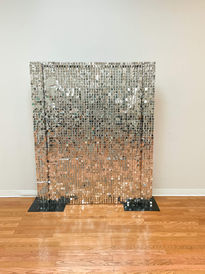 SHINY SILVER BACKDROP.jpg
