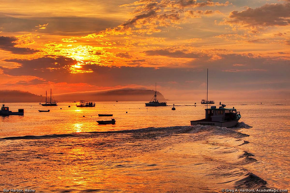 bar-harbor-7873.jpg