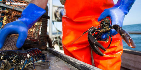 Precious cargo: how IoT sensors and AI could help keep perishable goods safe