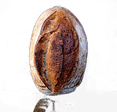 8fa64c_2cf62f146f664b9c82529a3aad7eb667~mv2.png
