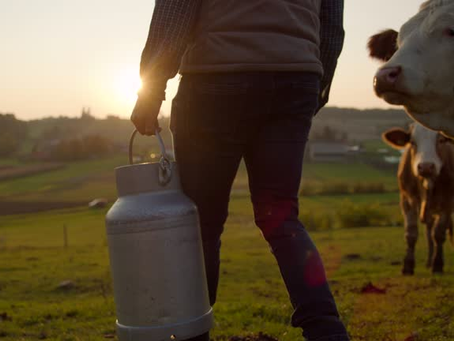Una filosifía centrada en el producto
