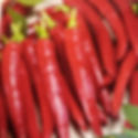 Chile de árbol semillas