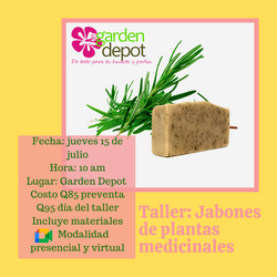 Taller Jabones de plantas medicinales (1)
