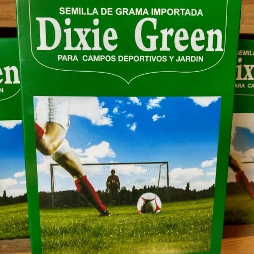 Miniatura: Semilla de grama