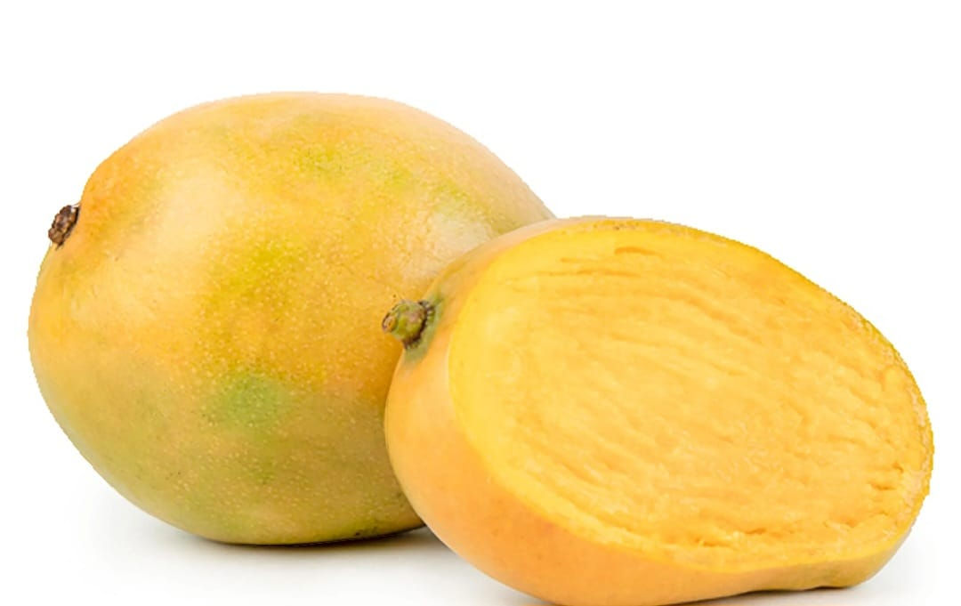 Mango de Pashte
