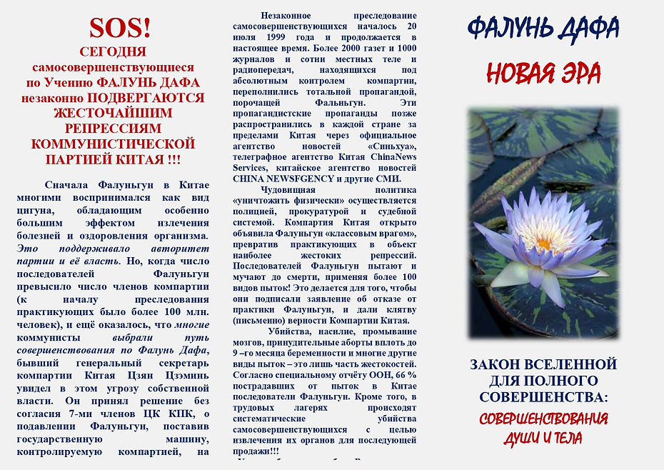 шаблон буклета А4 (фалун дафа)_page-0001.jpg