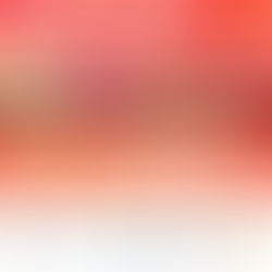 Open letter to Facebook: Transparency, increased resources against electoral disinformation in 2022