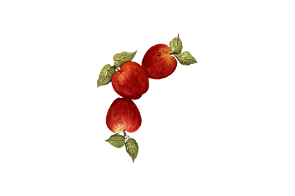 Untitled-1.png