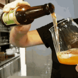 beer-a7ewj1bdmpjwmgw1.gif