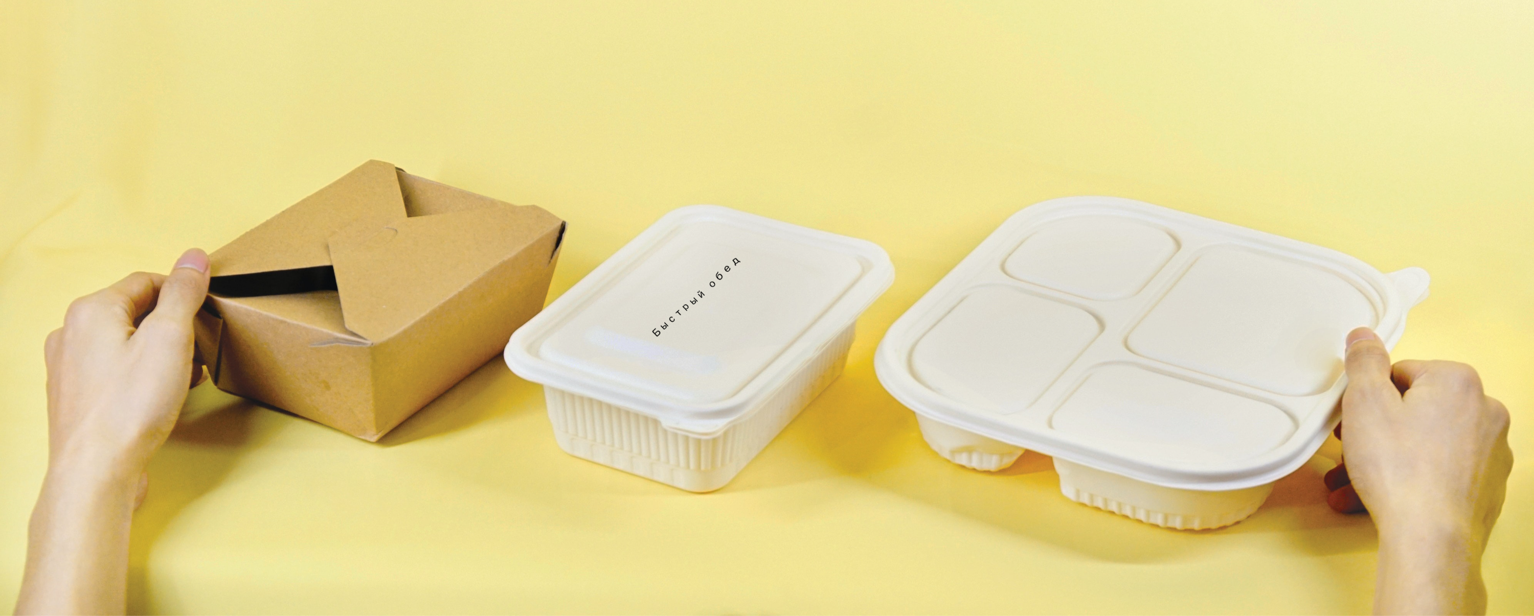 Arranged Food and Objects