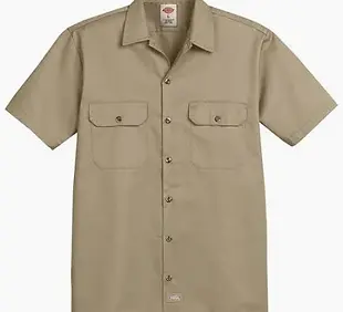 Dickies pants.webp
