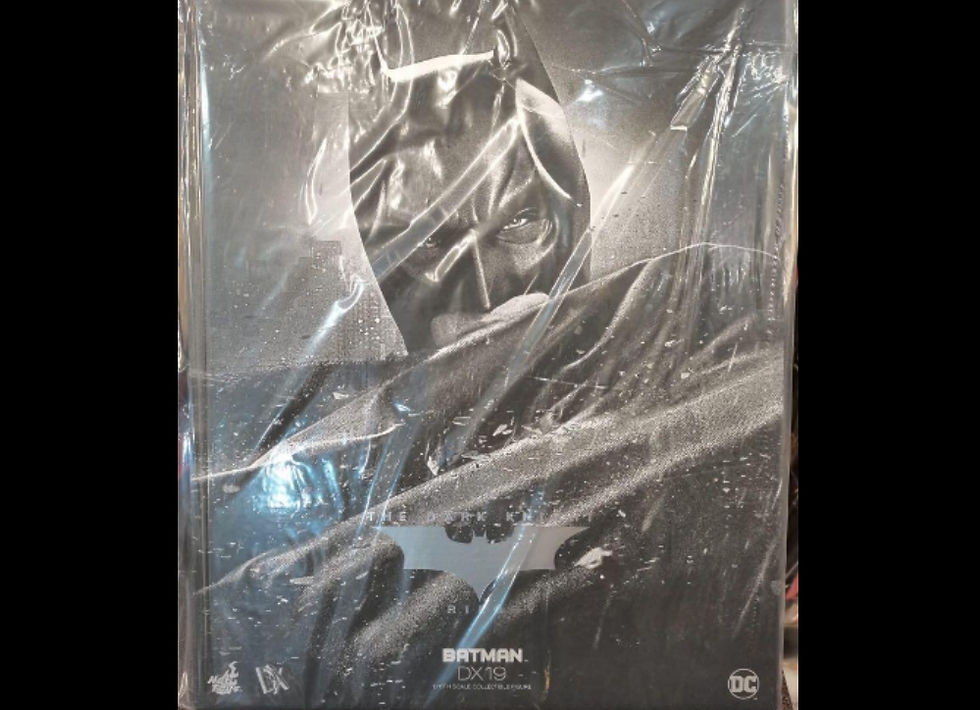 Hot Toys DX19 The Dark Knight Rises 1/6 Batman (No Brown Box)