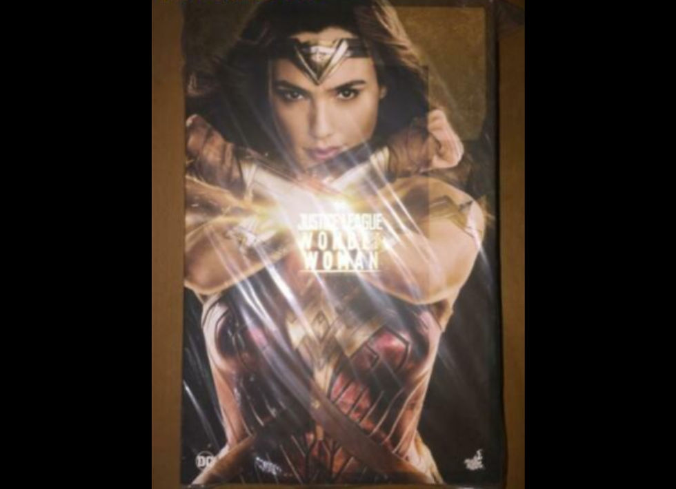 Hot Toys MMS450 JUSTICE LEAGUE 1/6 WONDER WOMAN