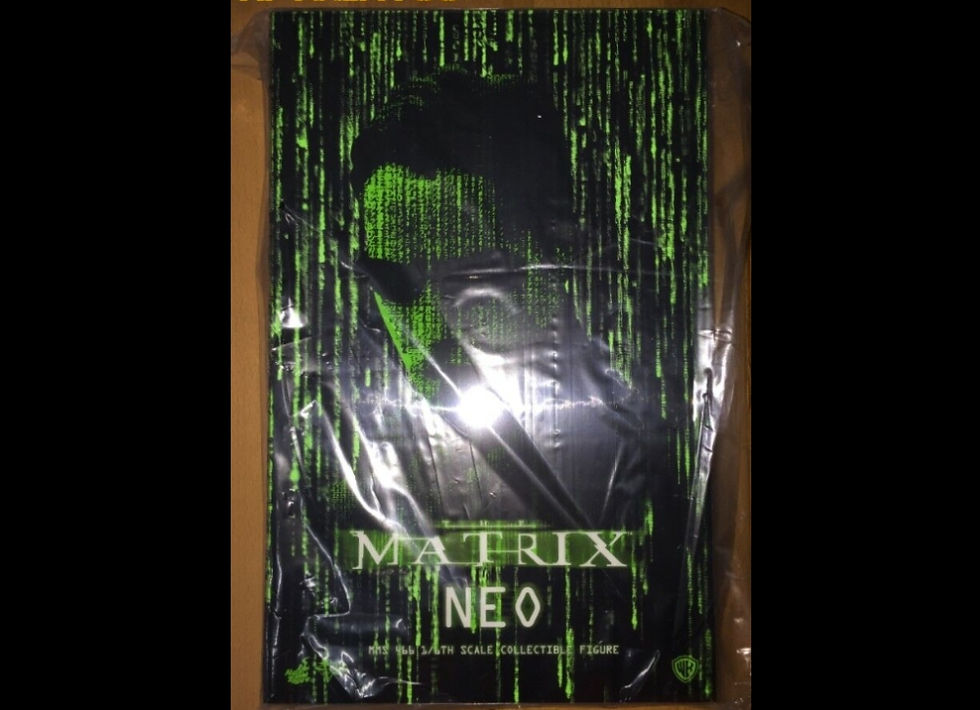 Hot Toys MMS466 THE MATRIX 1/6 NEO