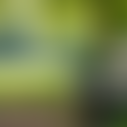 Unlocking Lasting Relationships Through the COP Factor