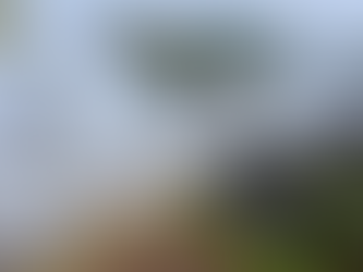 石井源太夫・鳥羽宿禰は磐井=継体天皇