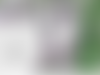 邪馬台国は河内湖:長柄船瀬