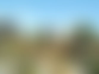 川崎大師:大師は太子!?