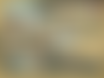 野見宿禰と当麻蹴速は同一人物