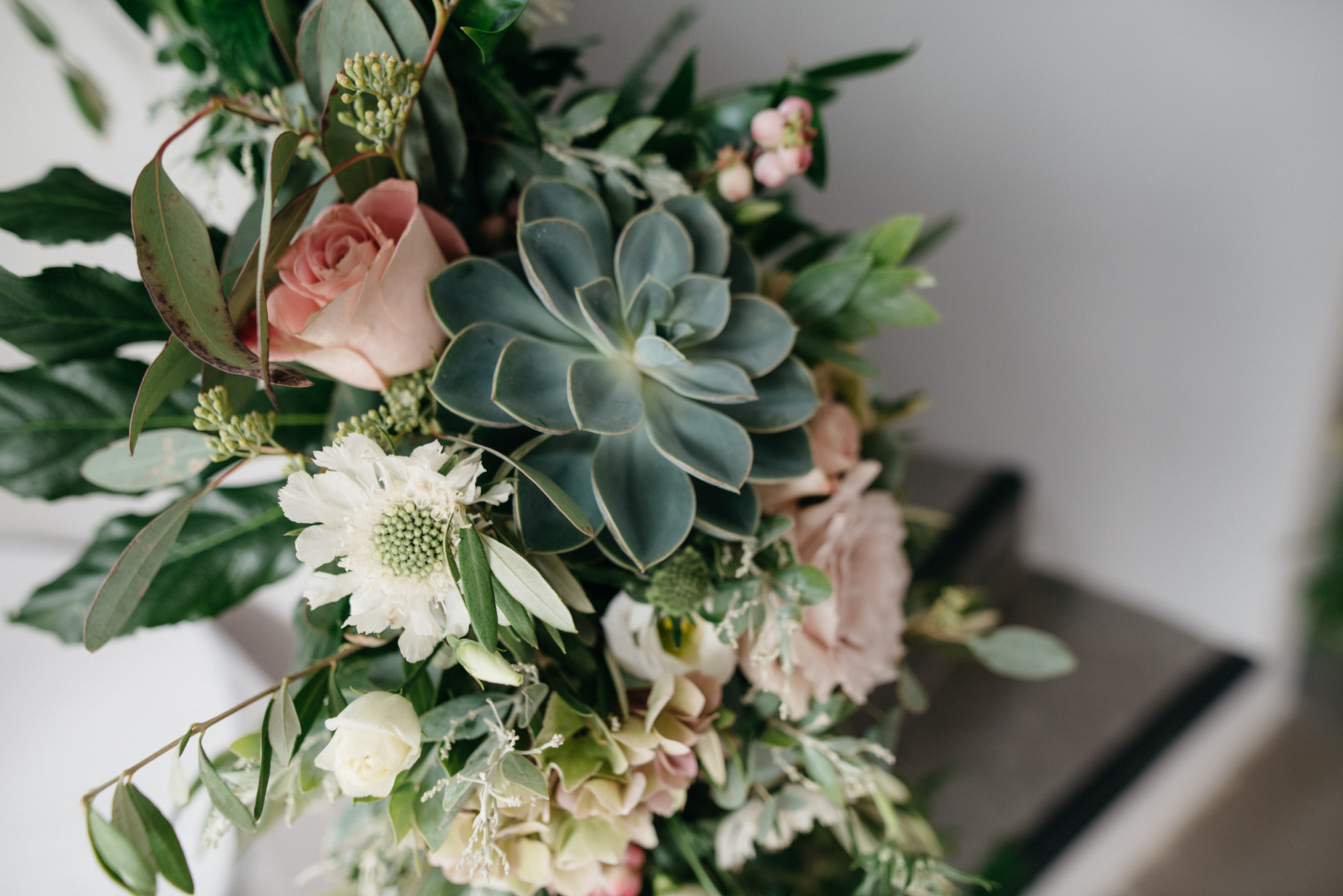 succulent and roses