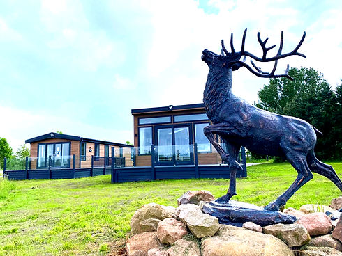 WhatsApp Image 2024-07-27 at 14.23_edited.jpg