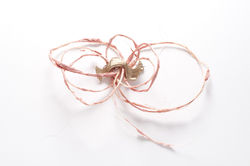 broche "à force de fragilité 2"