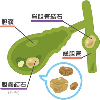 昭島モリパーク まつもとクリニック 内科・消化器内科・内視鏡内科