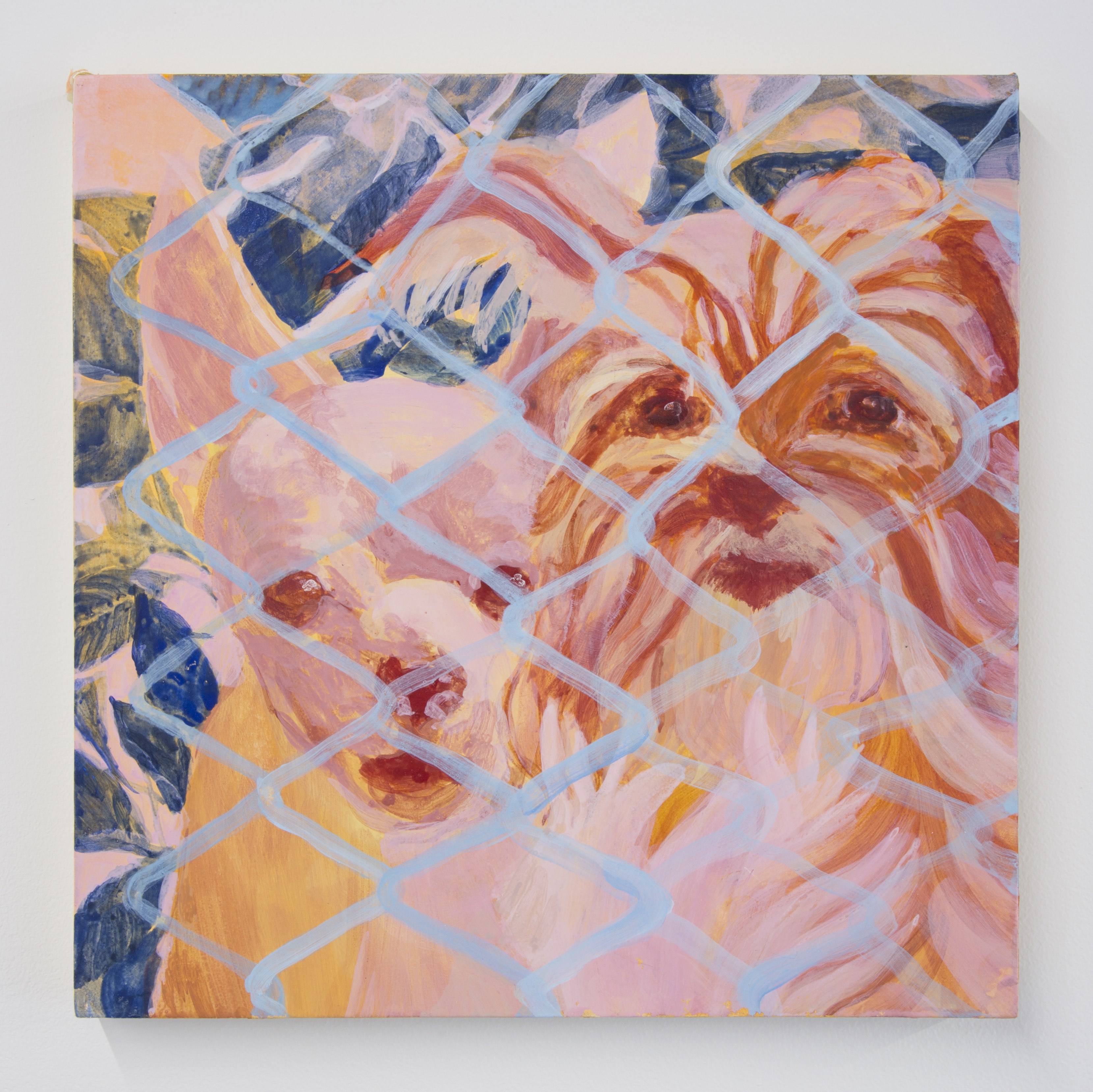 Two dogs on Romulo street