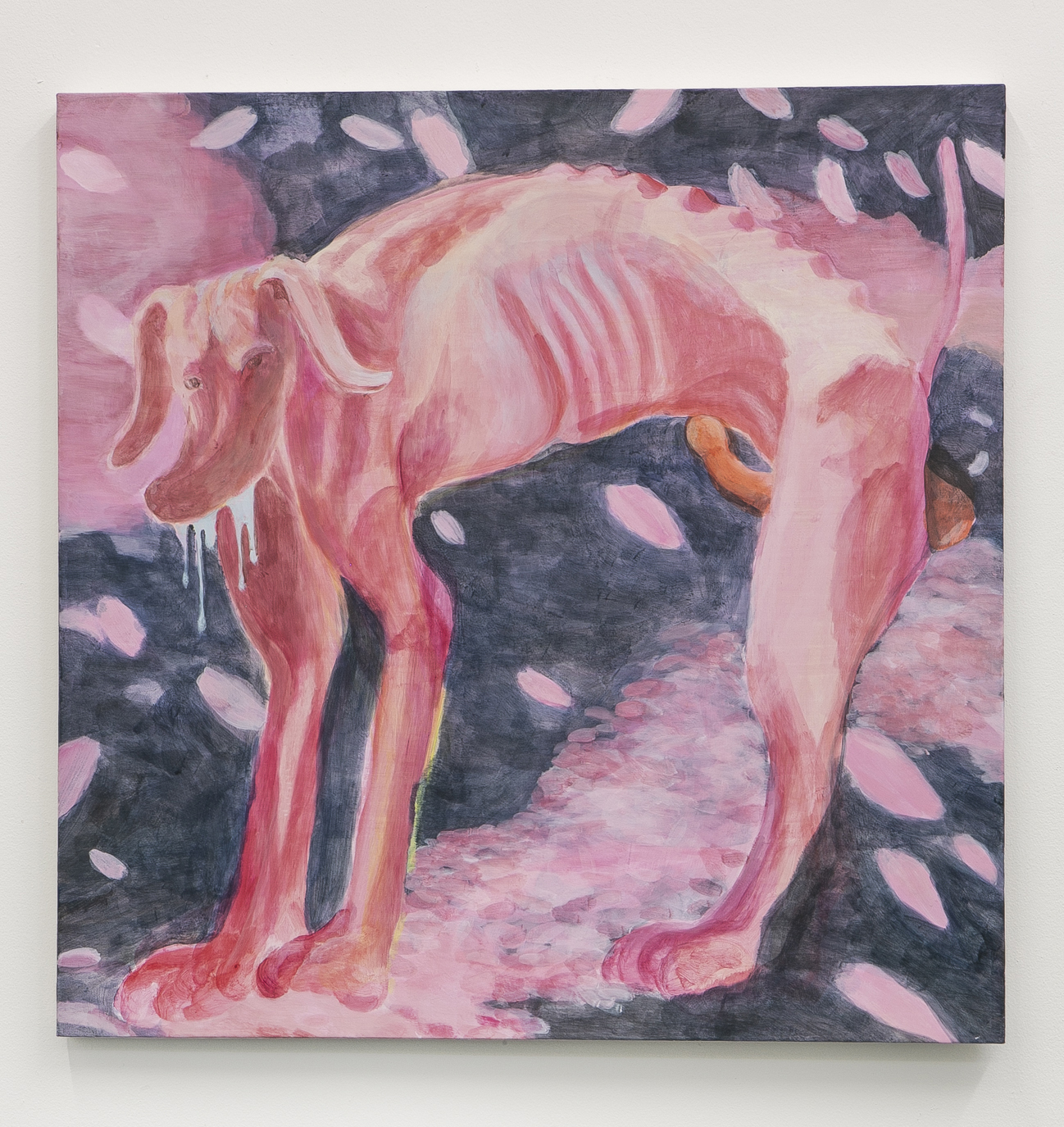 A skinny dog and falling petals of c