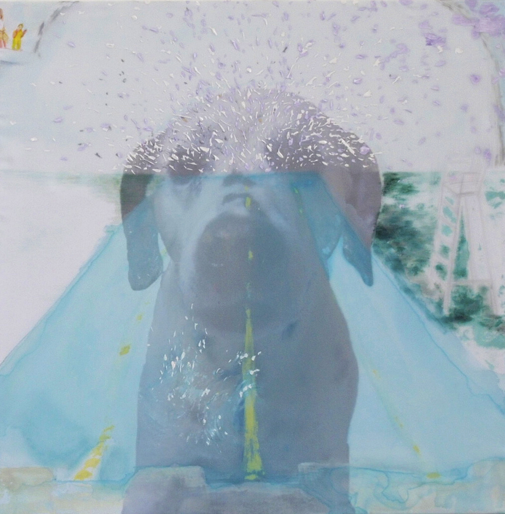 Dalmesian at poolside