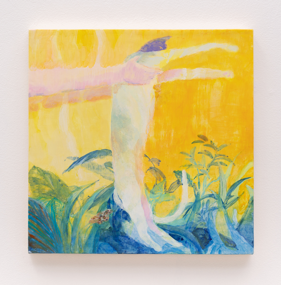 A white cat in a garden