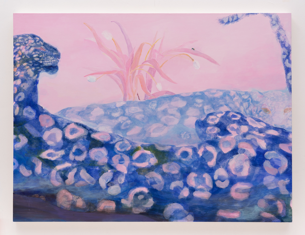 Two leopards and a fly