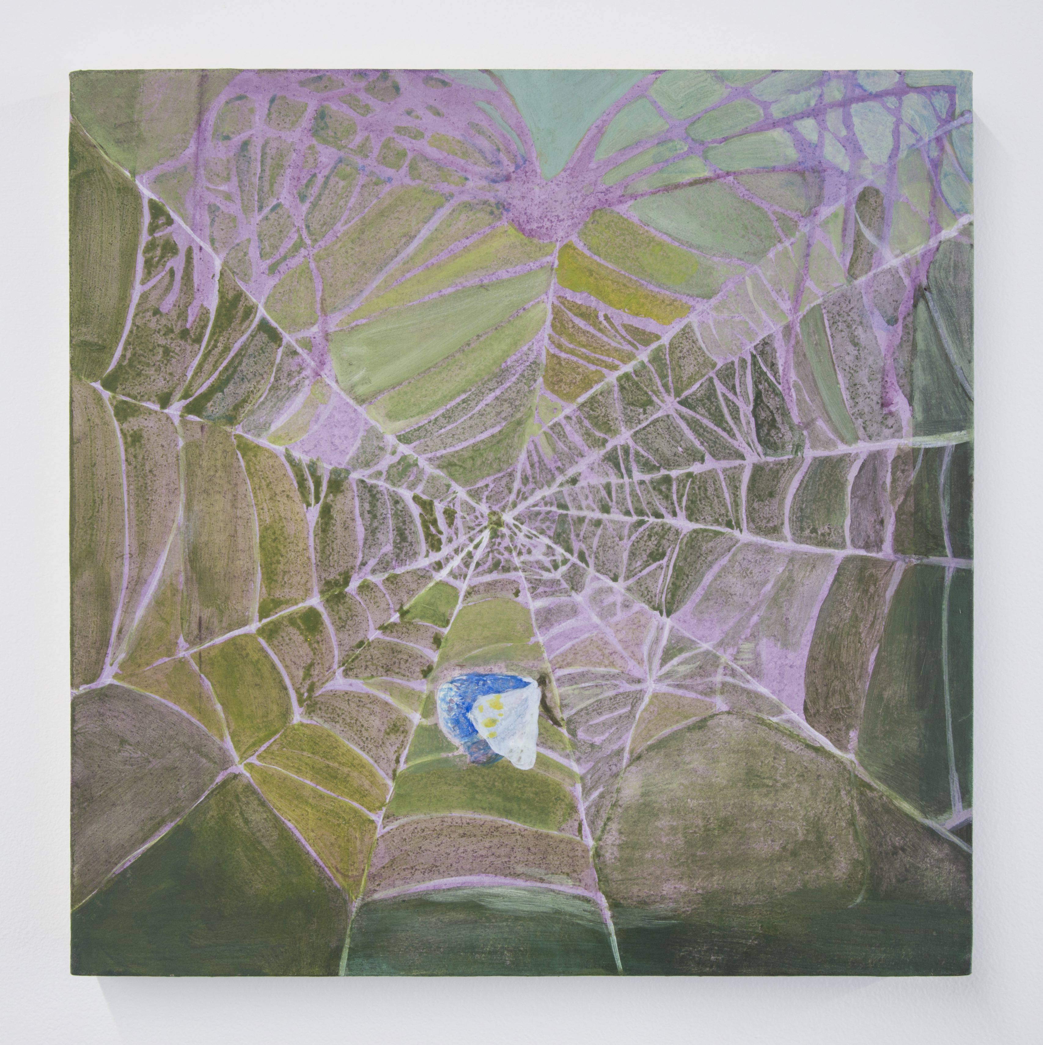 A spider and a butterfly