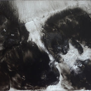 Несподівана зустріч