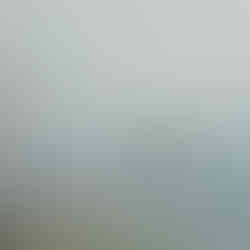 Туманний спокій