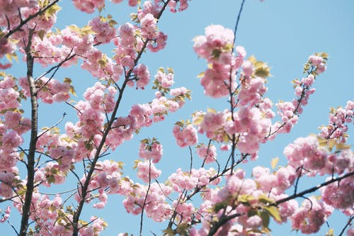 Why is PINK Symbolic Coded Language for WOMEN???