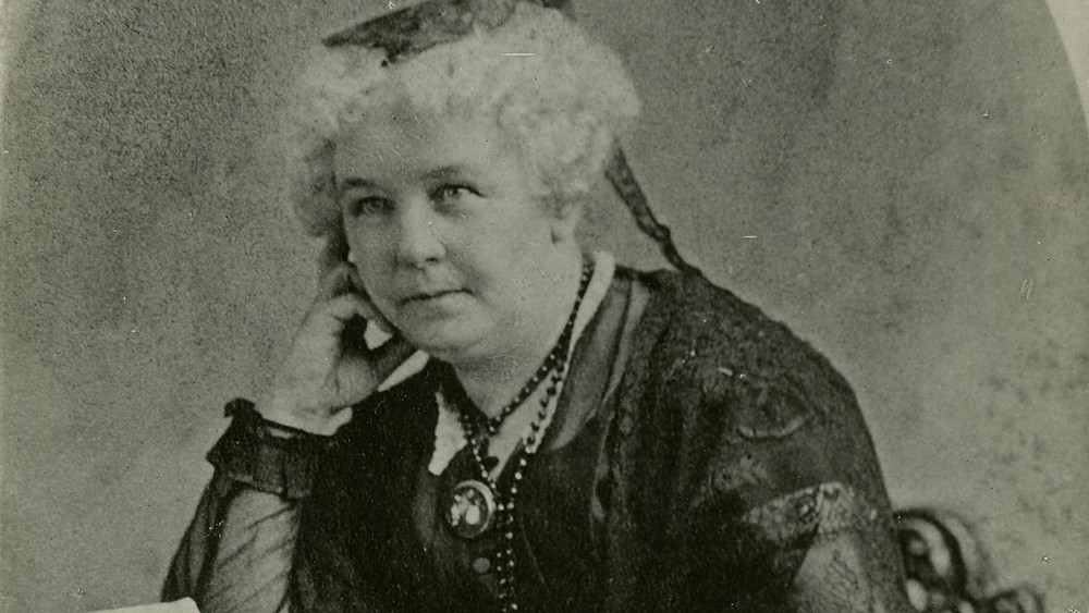 Elizabeth Cady Stanton, Seneca Falls Historical Society